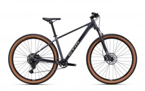 Dviratis CTM Rambler 2.0 29