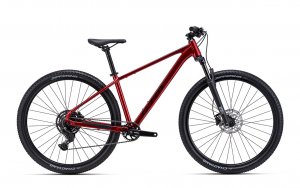 Dviratis CTM Rambler 2.0 29