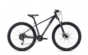 Dviratis CTM Rein 2.0 29